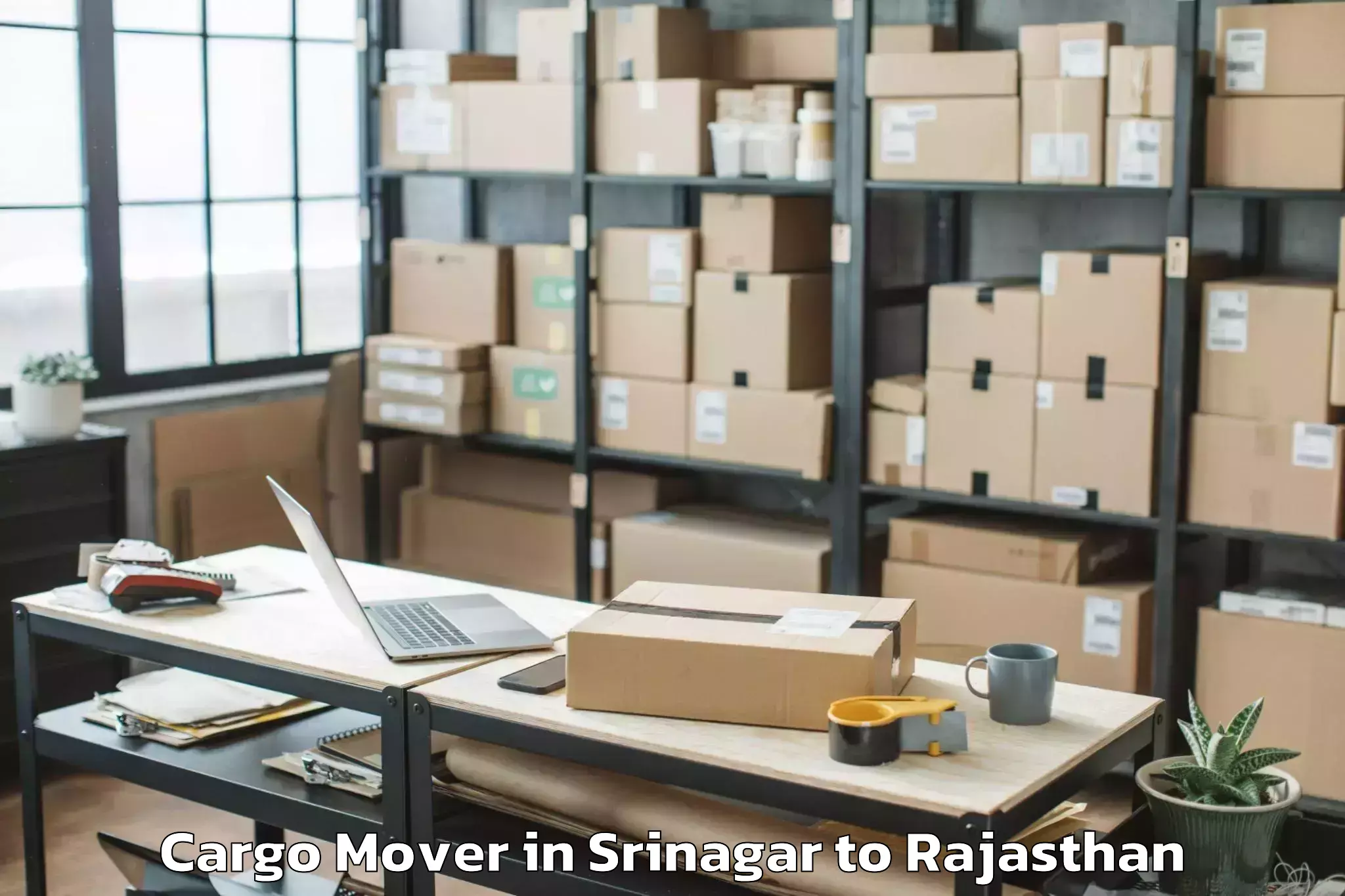 Leading Srinagar to Abu Cargo Mover Provider